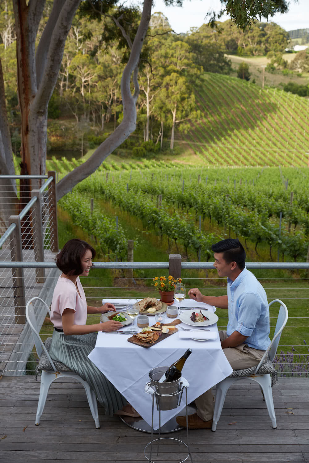 Mt Lofty Ranges Vineyard