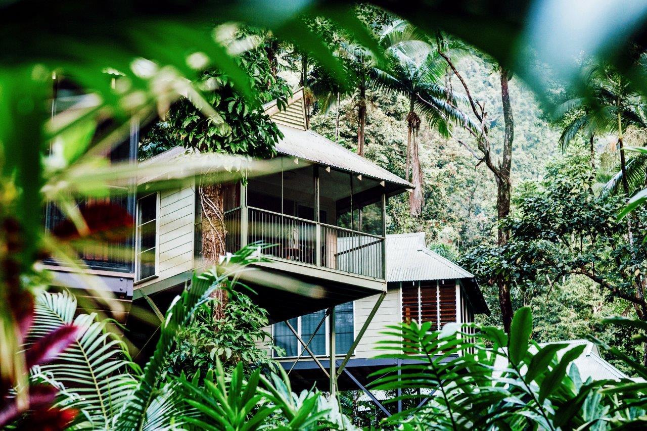 Daintree Ecolodge