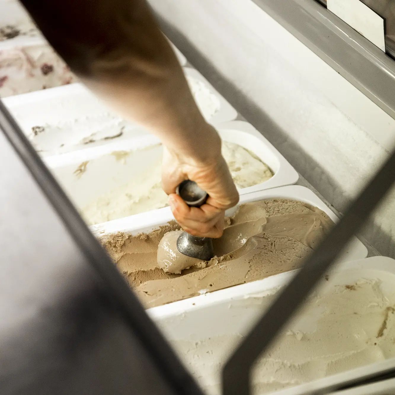 Live A Little Gelato 