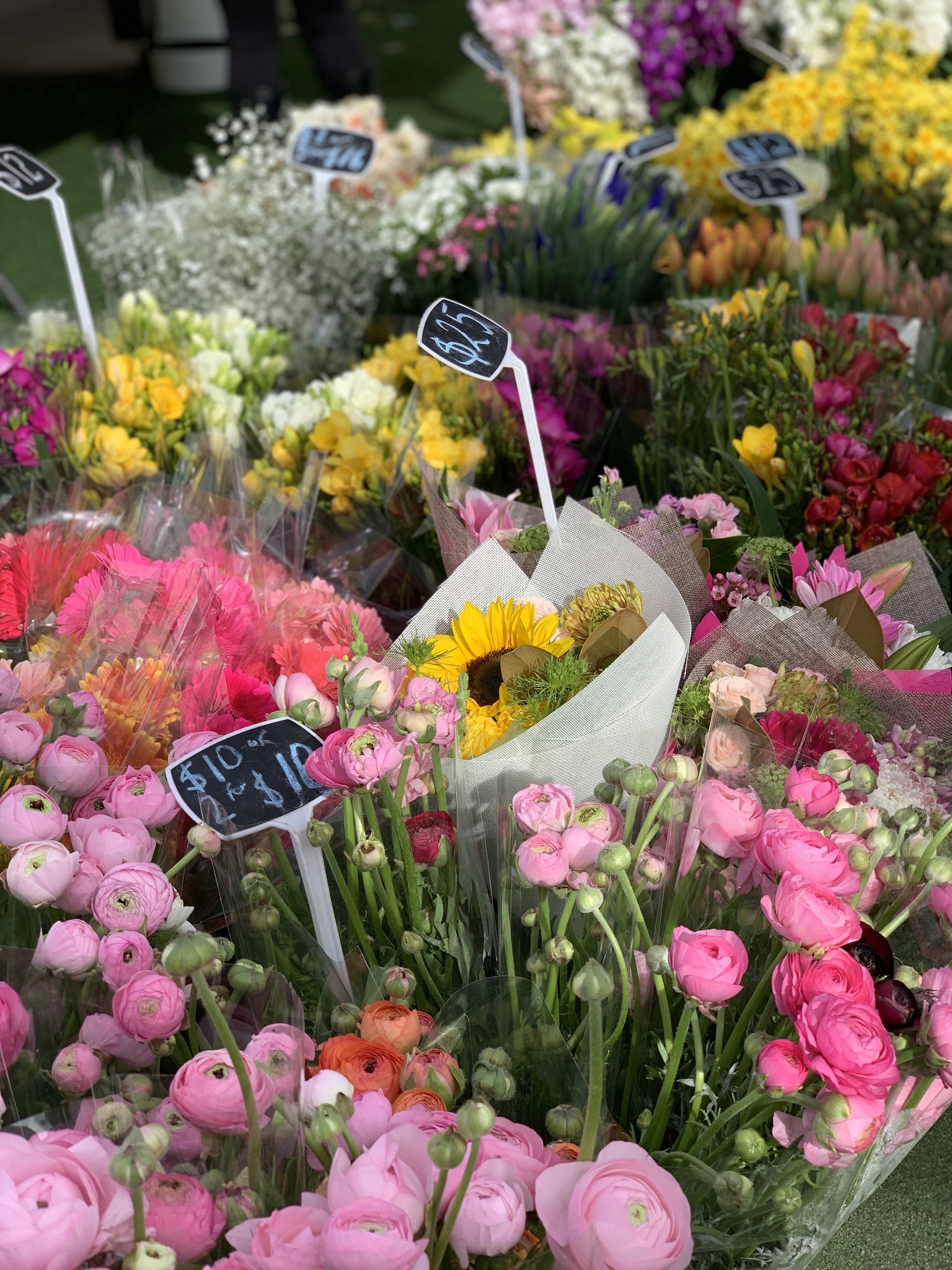 Carlton Farmers Market (Image Credit: Carlton Farmers Market)