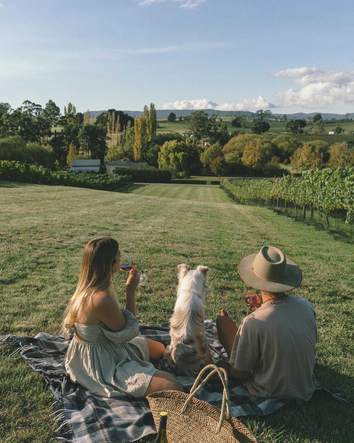 Meander Valley Vineyard (Image credit: IG @meandervalleyvineyard)