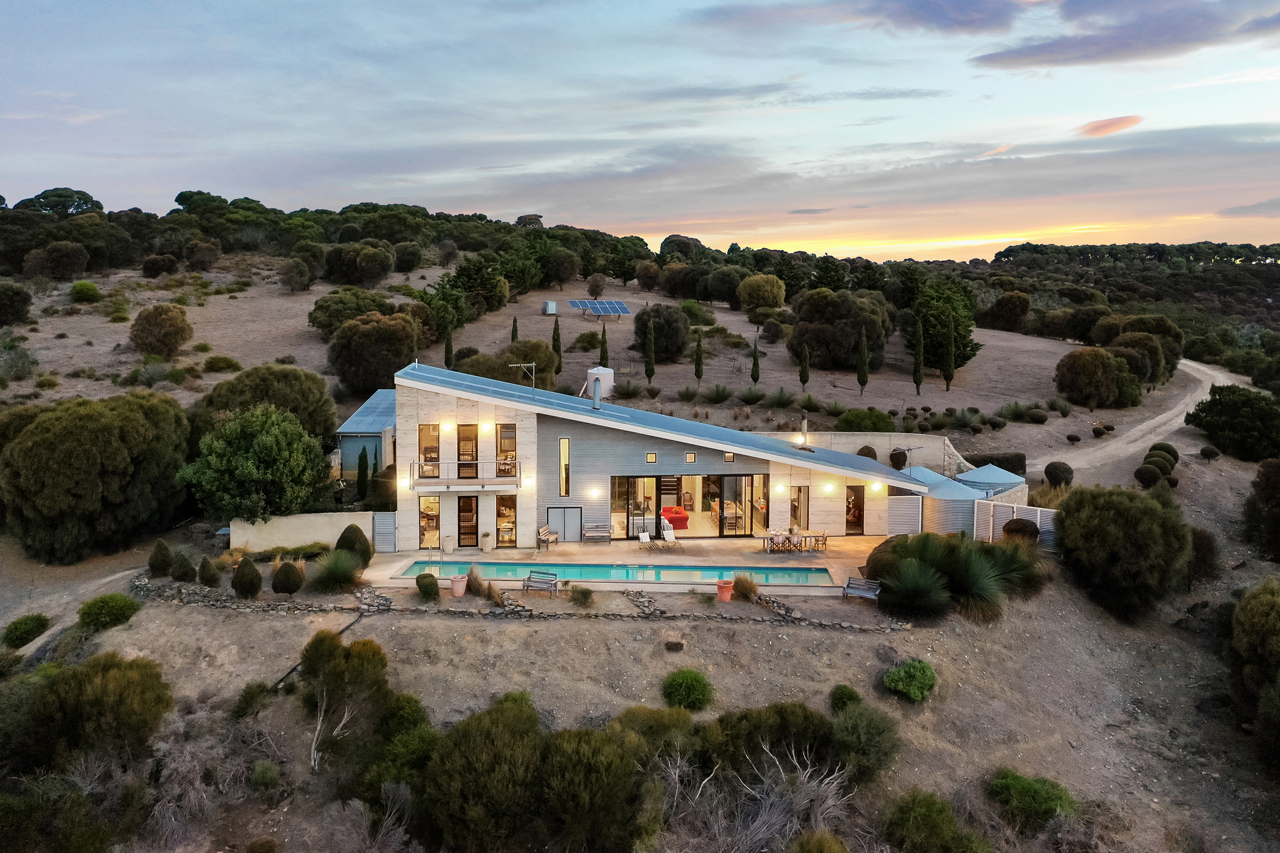 Little Cuttlefish (Photo credit: Cullen Royle)