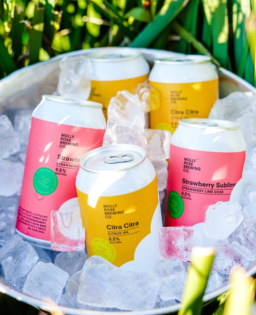 Molly Rose Brewing Co.