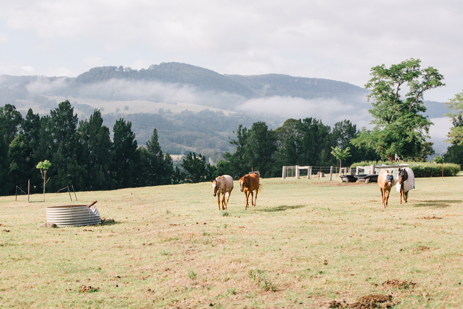 Southern Highlands