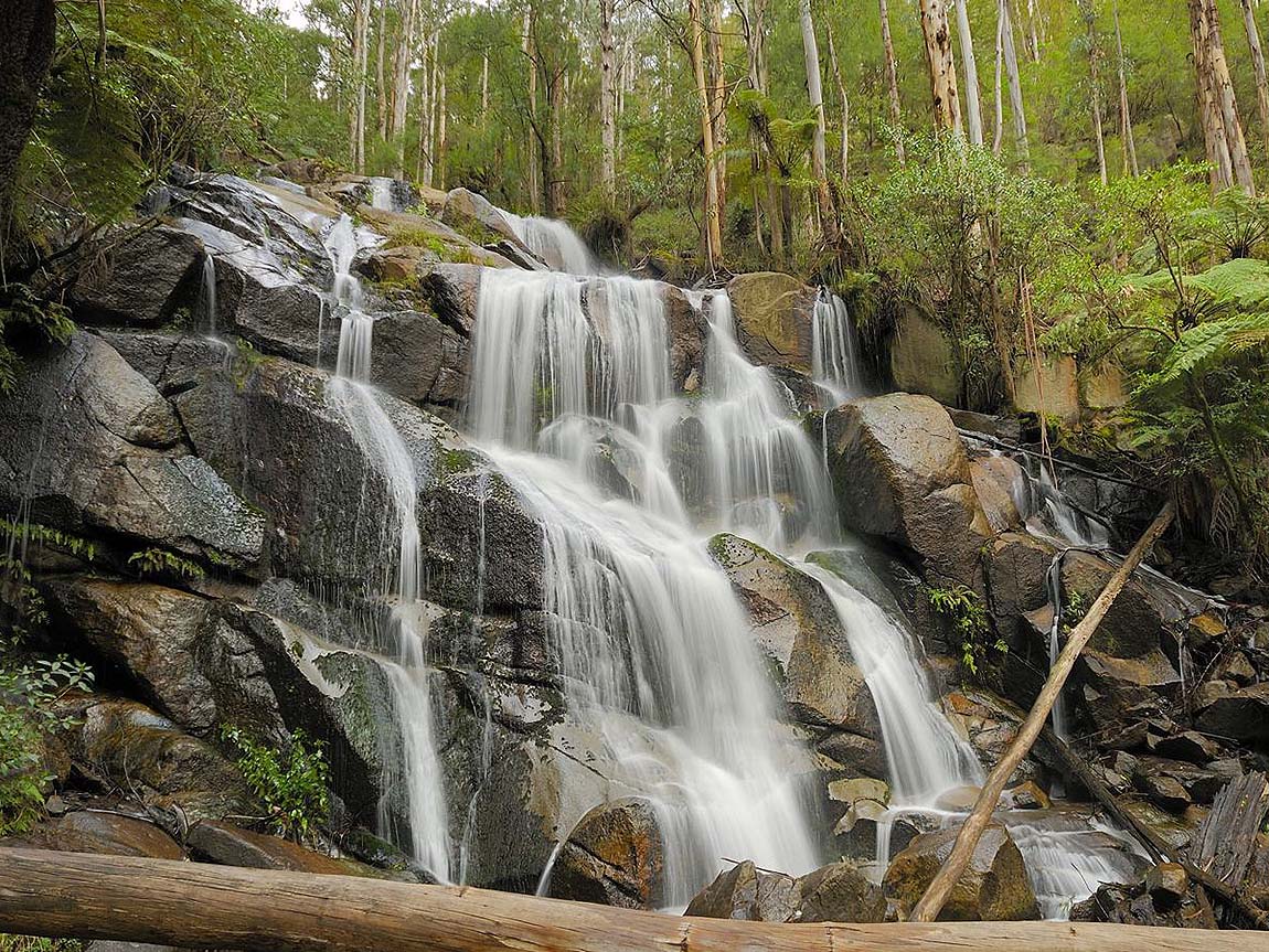 Toorongo Falls
