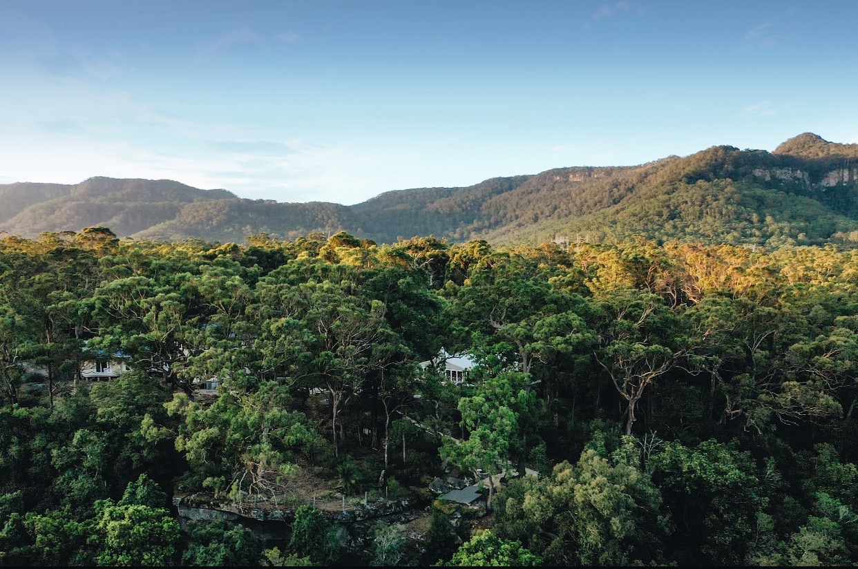 Wildwood Kangaroo Valley