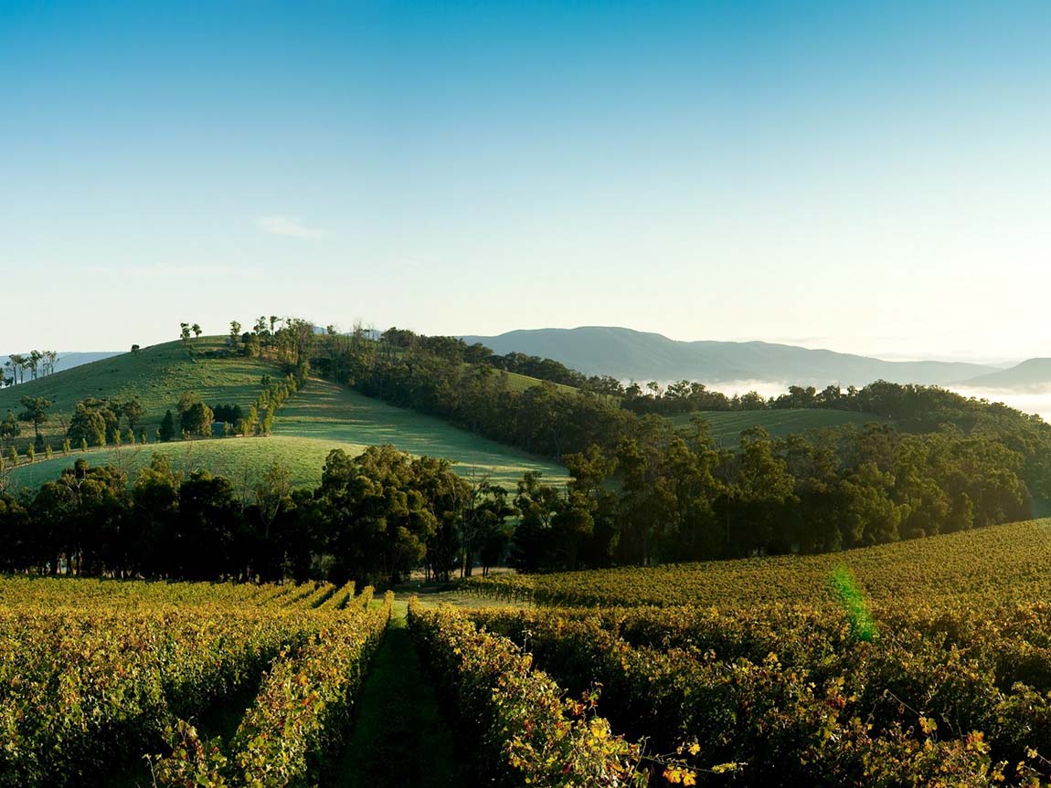 Yarra Valley