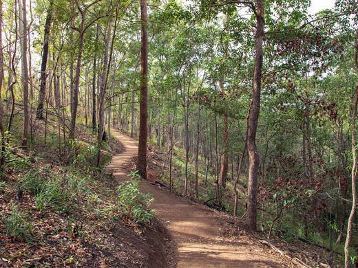 Mt Coot-Tha Hike