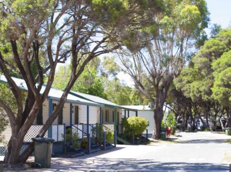 Coogee Beach Discovery Park